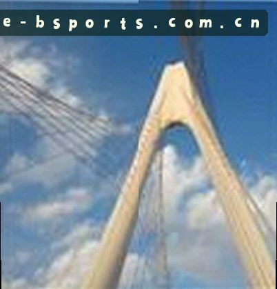刘佳