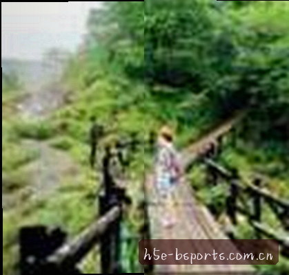 陈总